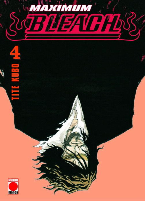 Bleach Maximum 04